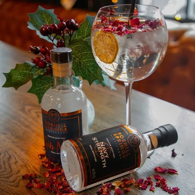 10 Different Types of Gin You Need To Try